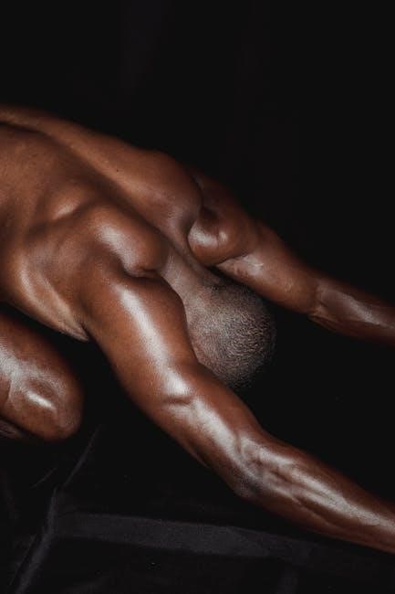 nick bare hybrid training program pdf
