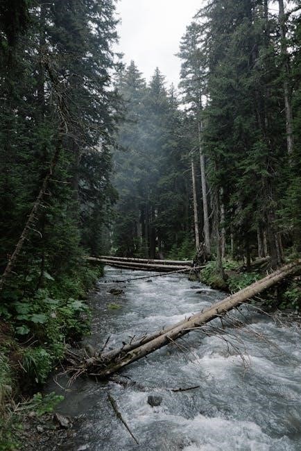 drying logs for water damage pdf