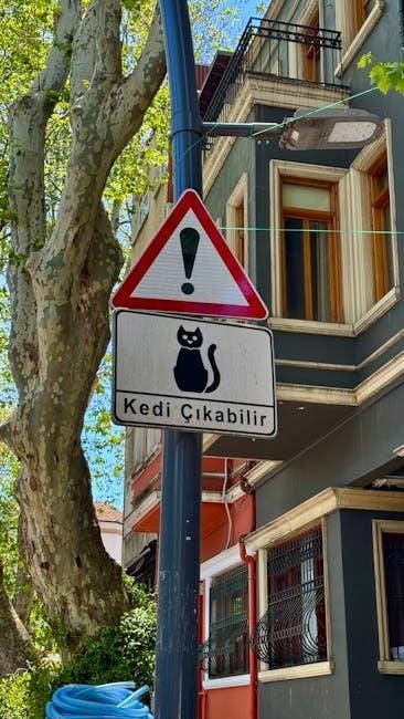 international urogynecology journal instructions on capitalization